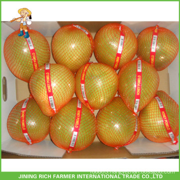 11KG Carton Hot Salr Fresh Honey Pomelo For Russia Market